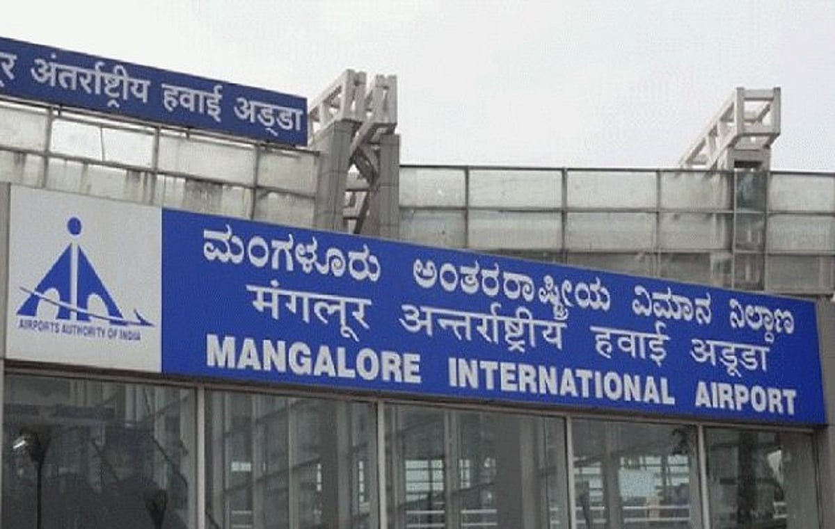 ಮಂಗಳೂರು: ಟೇಕಾಫ್‌ ವೇಳೆ ವಿಮಾನದ ರೆಕ್ಕೆಗೆ ಹಕ್ಕಿ ಡಿಕ್ಕಿ