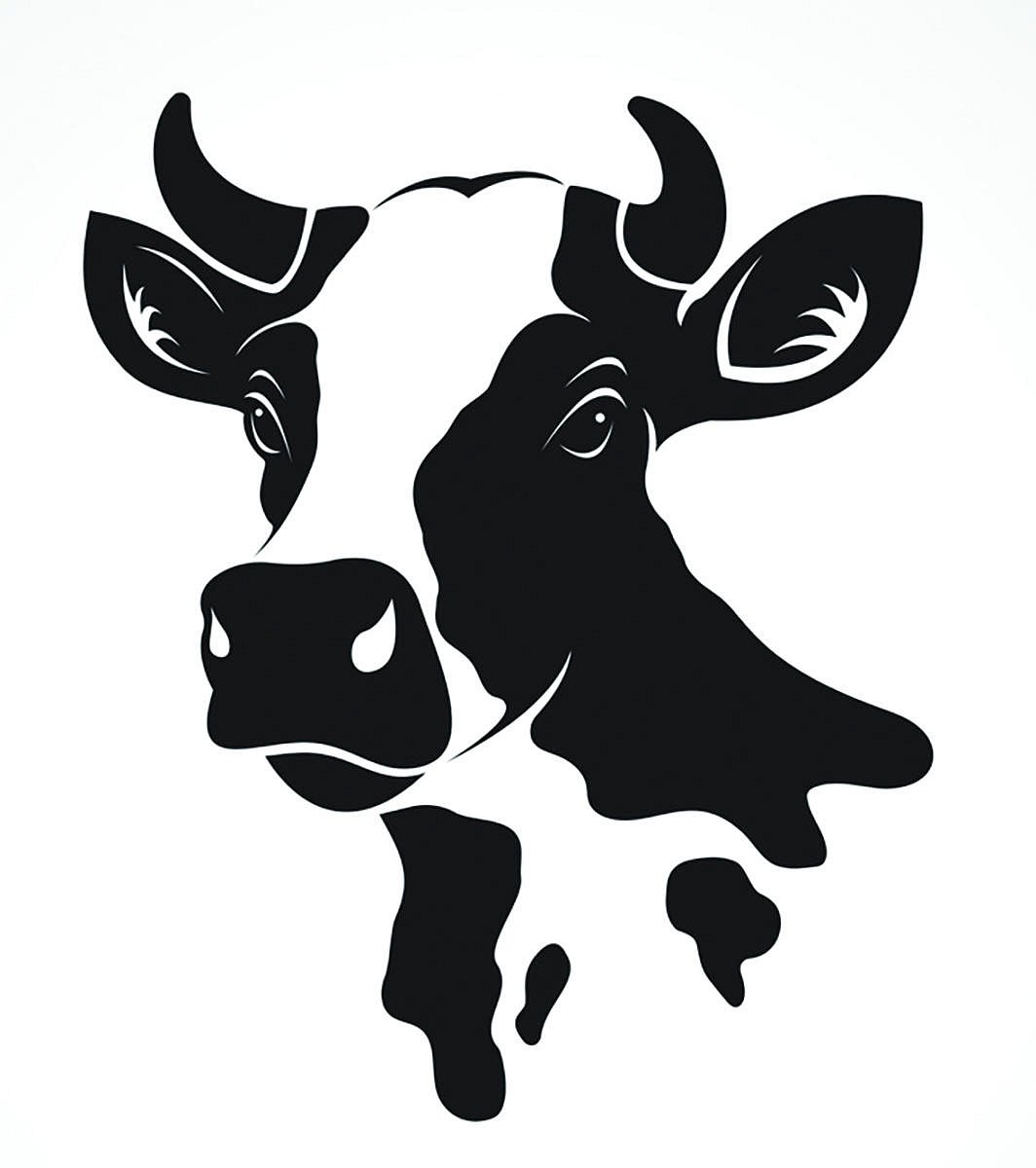 ಜಾನುವಾರು ಹತ್ಯೆ ನಿಷೇಧ ನಿಯಮ ಸಡಿಲಿಕೆ: ಶಾಸಕ ರಿಜ್ವಾನ್‌ ಅರ್ಷದ್‌