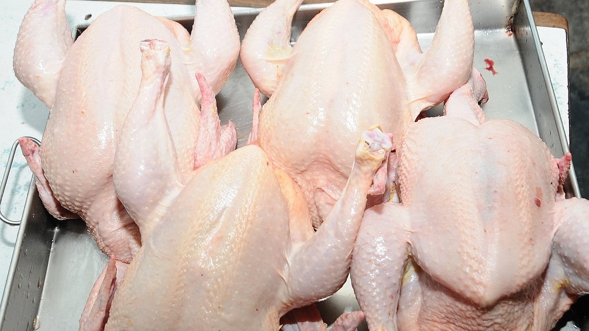 ಕೋಳಿ ಮಾಂಸ ದರ ಏರಿಕೆ: ಶುಂಠಿಯೂ ದುಬಾರಿ