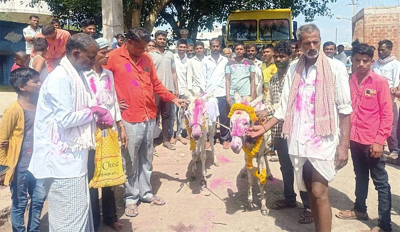 ಮಳೆಗಾಗಿ ಪ್ರಾರ್ಥಿಸಿ ಕತ್ತೆಗಳ ಮದುವೆ