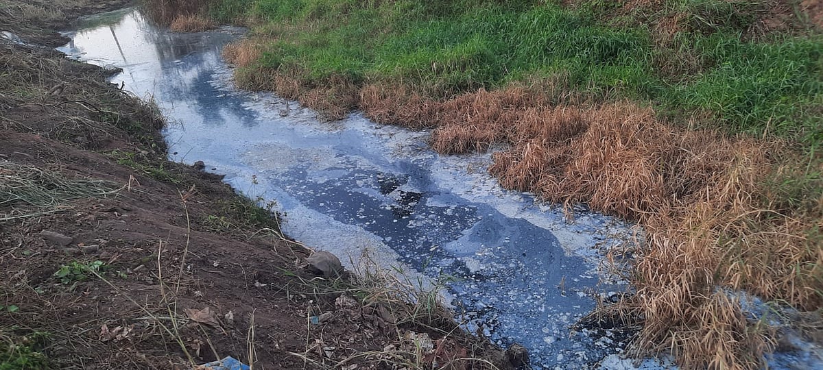 ಪತಂಜಲಿ ತೈಲ ಘಟಕ ಮುಚ್ಚಲು ಶಿಫಾರಸು