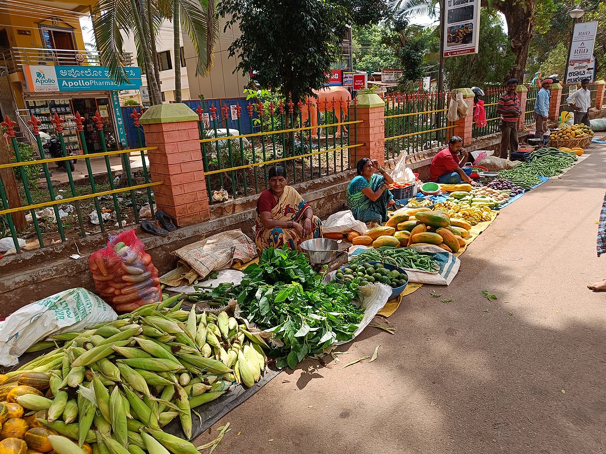 ಸಾಗರ: ಜನ, ವಾಹನ ಸಂಚಾರಕ್ಕೆ ತೊಂದರೆ