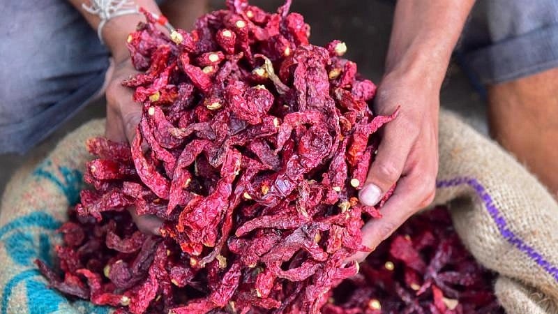 ಹಾವೇರಿ | ಬ್ಯಾಡಗಿ ಮೆಣಸಿನಕಾಯಿ ಆವಕದಲ್ಲಿ ಮತ್ತೆ ಹೆಚ್ಚಳ