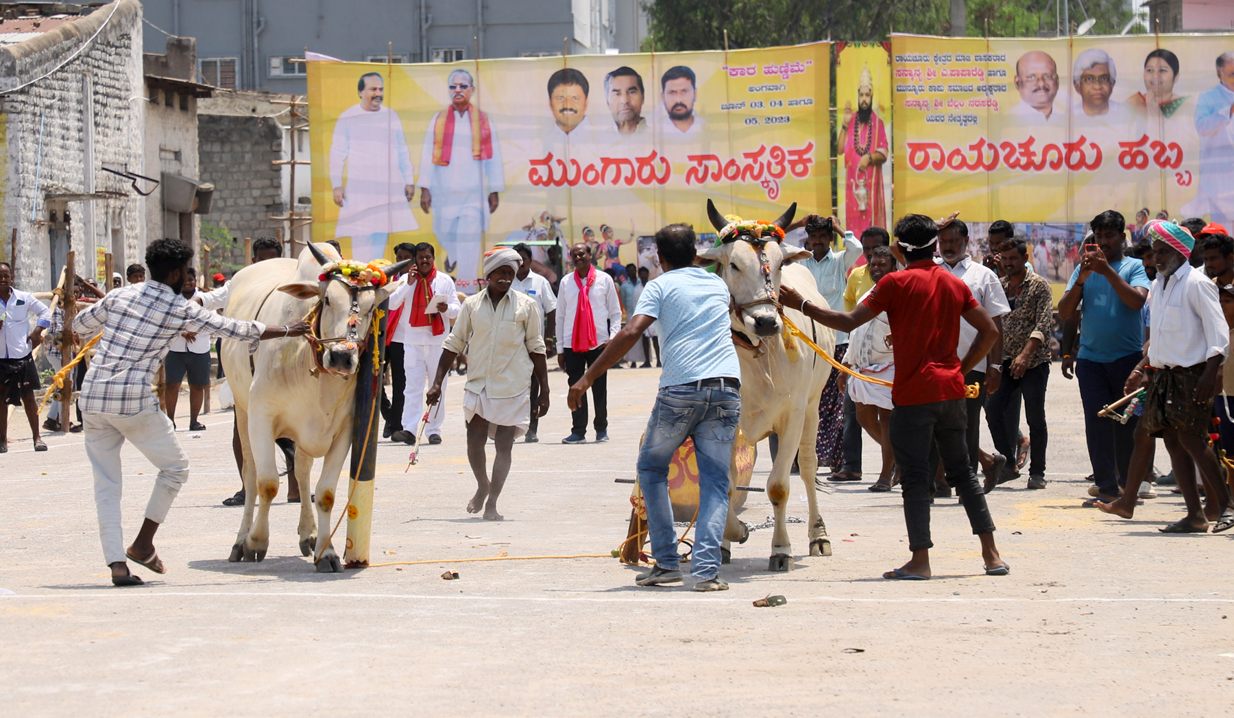 ರಾಯಚೂರಿನಲ್ಲಿ ಮುಂಗಾರು ಸಾಂಸ್ಕೃತಿಕ ರಾಯಚೂರು ಹಬ್ಬದ ಅಂಗವಾಗಿ ಶನಿವಾರ ನಡೆದ 1.50 ಟನ್ ಭಾರದ ಕಲ್ಲು ಎಳೆಯುವ ಸ್ಪರ್ಧೆಯಲ್ಲಿ ಎತ್ತುಗಳು ಭಾರದ ಕಲ್ಲು ಎಳೆಯುವಾಗ ನೊಗ ತುಂಡರಿಸಿತು