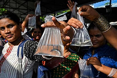 'ಮೀನು ಪ್ರಸಾದ' ವಿತರಣೆಗೆ ಚಾಲನೆ ನೀಡಿದ ತೆಲಂಗಾಣ ಪಶುಸಂಗೋಪನಾ ಸಚಿವ ತಲಸಾನಿ ಶ್ರೀನಿವಾಸ್ ಯಾದವ್, ರಾಜ್ಯ ಸರ್ಕಾರವು ಸಮಾರಂಭಕ್ಕೆ ಎಲ್ಲಾ ವ್ಯವಸ್ಥೆಗಳನ್ನು ಮಾಡಿದೆ ಎಂದು ಹೇಳಿದ್ದಾರೆ.
