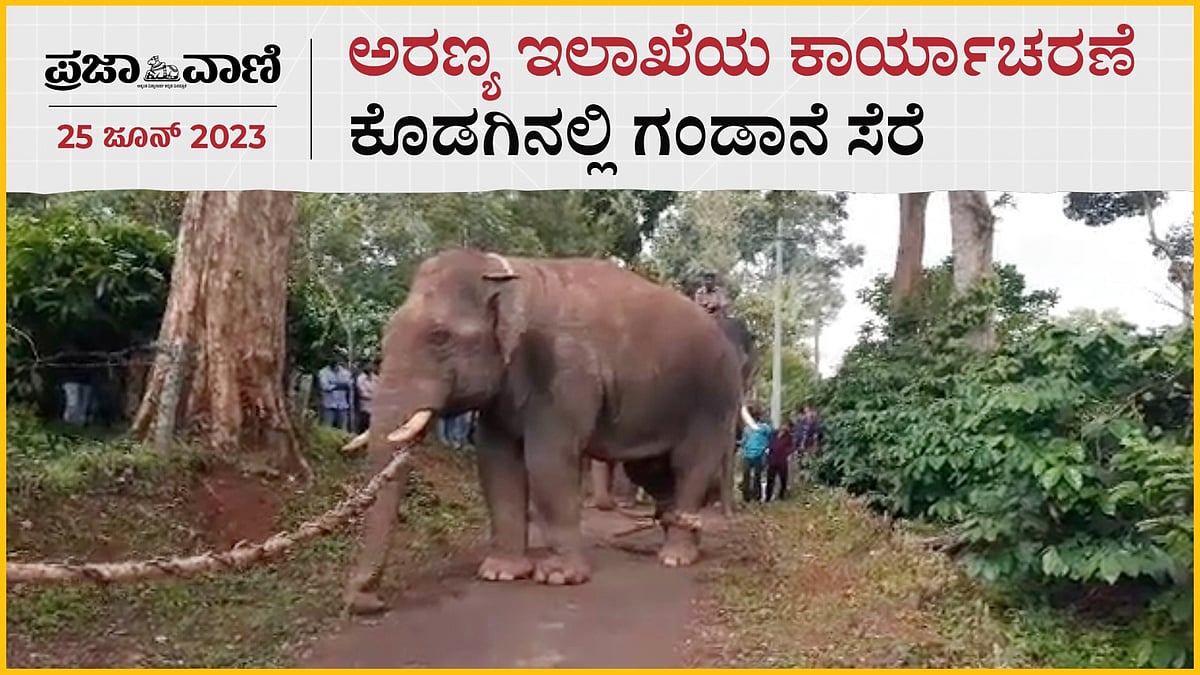 Video | ಮಡಿಕೇರಿ: ಸತತ ಕಾರ್ಯಾಚರಣೆ, ಕೊನೆಗೂ ಕಾಡಾನೆ ಸೆರೆ