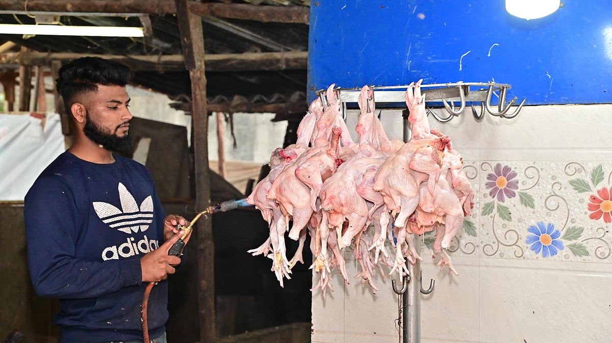 ದಾವಣಗೆರೆ: ಮಾಂಸಪ್ರಿಯರಿಗೆ ಬೆಲೆ ಏರಿಕೆ ಬಿಸಿ, ₹300 ಗಡಿಯತ್ತ ತಲುಪಿದ ಕೋಳಿ ಮಾಂಸ