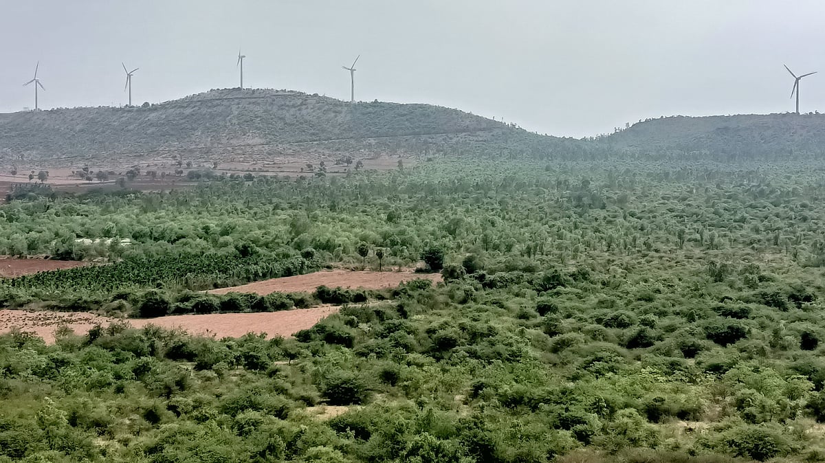 ಹರಪನಹಳ್ಳಿ ಚಿನ್ನದ ನಿಕ್ಷೇಪ: ನಷ್ಟ ಭೀತಿ; ಗುತ್ತಿಗೆದಾರರ ನಿರಾಸಕ್ತಿ