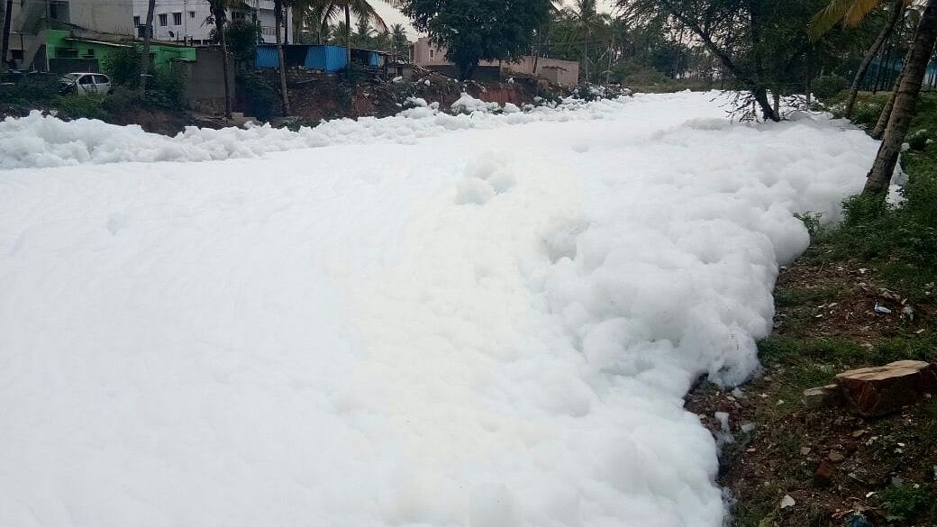 ಬೆಳ್ಳಂದೂರು ಕೆರೆ ನೊರೆಗೆ ಮೂರು ಕಾರಣ