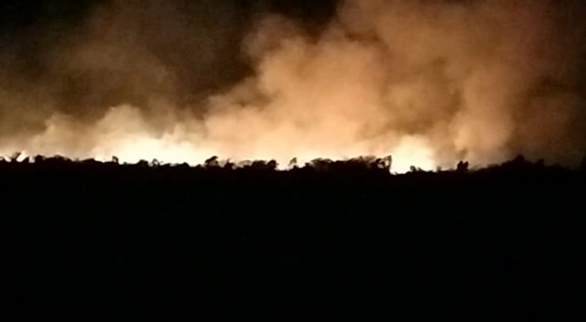 ಚಿತ್ರದುರ್ಗ: ಮೀಸಲು ಅರಣ್ಯಕ್ಕೆ ಬೆಂಕಿ; ನೂರಾರು ಎಕರೆ ಅರಣ್ಯ ನಾಶ