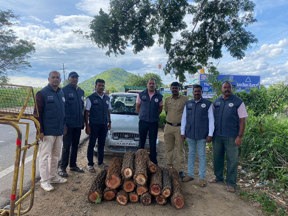 ಕೊಳ್ಳೇಗಾಲ: ₹17 ಲಕ್ಷ ಮೌಲ್ಯದ ರಕ್ತ ಚಂದನ ಸಾಗಣೆ: ಮೂವರ ಬಂಧನ