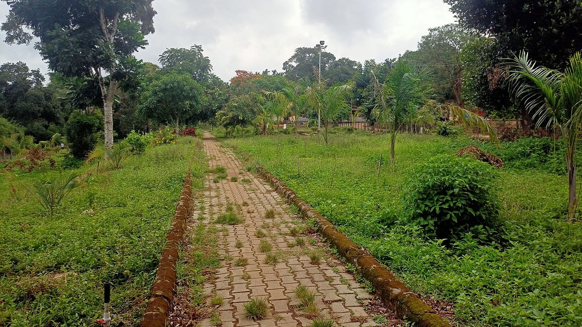 ತೀರ್ಥಹಳ್ಳಿ: ನಿರ್ವಹಣೆ ಇಲ್ಲದೆ ಸೊರಗಿದ ಉದ್ಯಾನಕ್ಕೆ ಕಾಯಕಲ್ಪ 