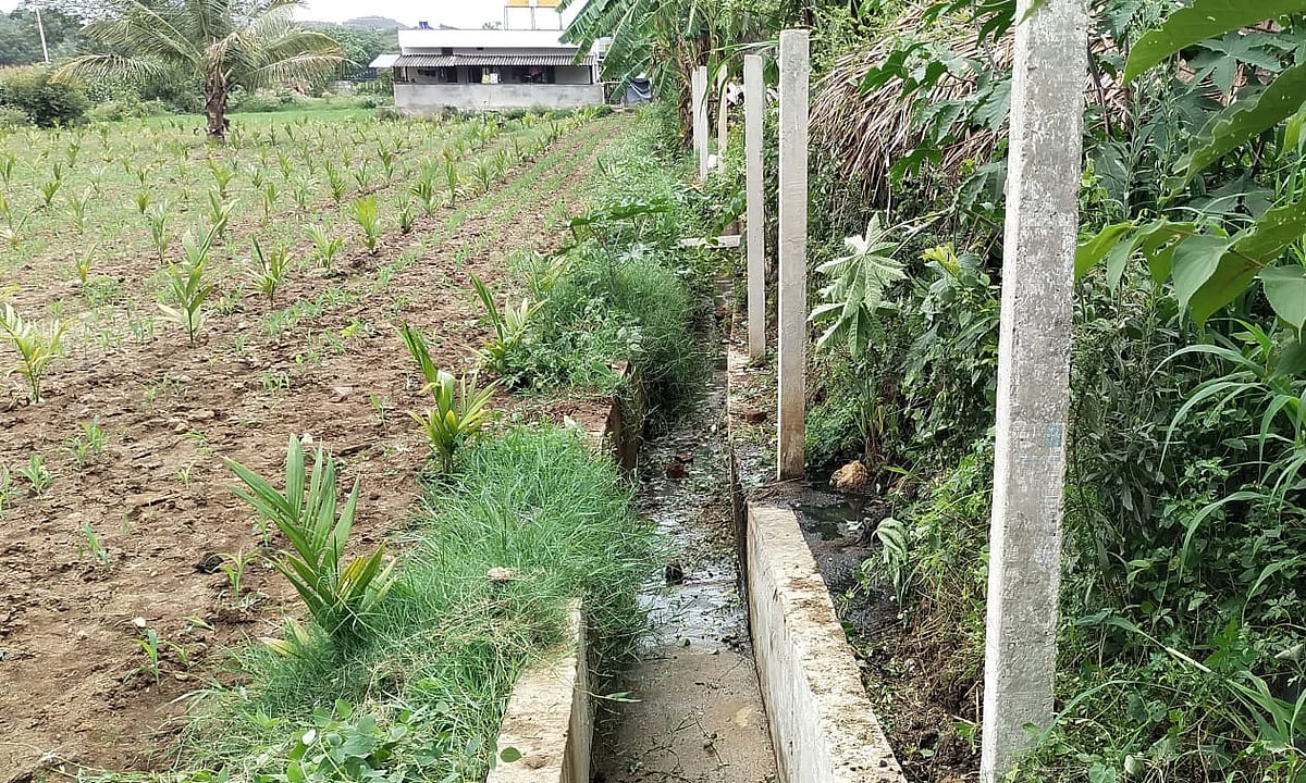ಕುಶಾಲನಗರ|ನಾಲೆ ಒತ್ತುವರಿ, ಬೇಲಿ ನಿರ್ಮಾಣ ಆರೋಪ