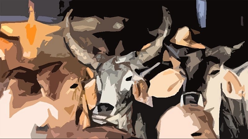 ಮಹಾರಾಷ್ಟ್ರ: ಗೋರಕ್ಷಕರಿಂದ ಥಳಿತ, ವ್ಯಕ್ತಿ ಸಾವು