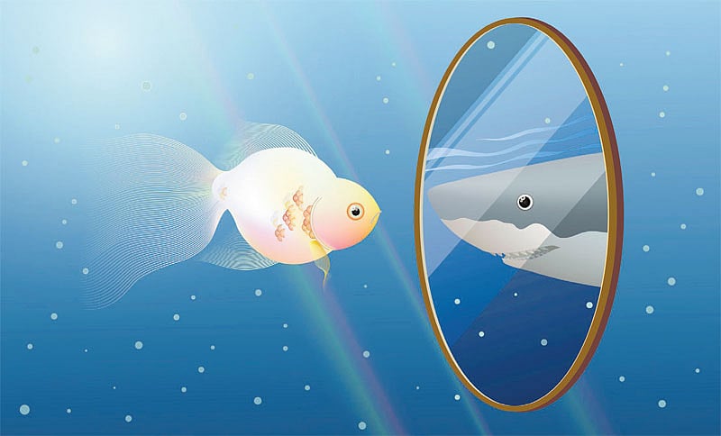 ವಿಶೇಷ | ಮೀನಿಗೆ ಕಂಡೀತೆ ಕನ್ನಡಿಯ ಬಿಂಬ!