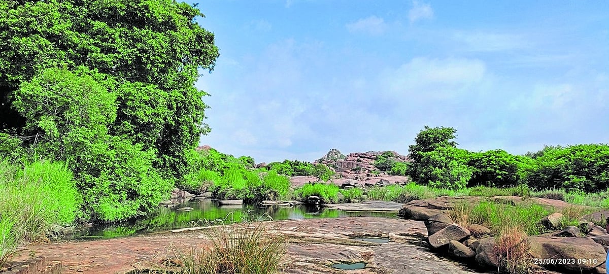 ನದೀಪಾತ್ರದ ಚಾರಣ...ಹೊಸ ನೋಟದ ಚರಣ