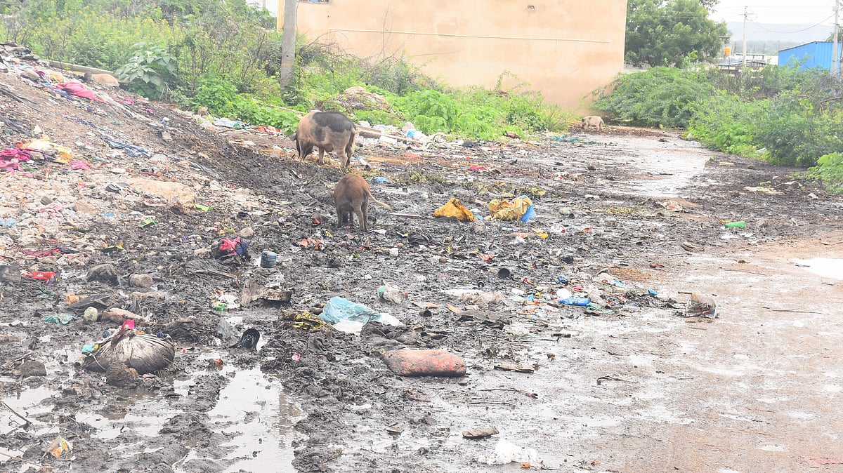 ಯಾದಗಿರಿ | ಸಾಂಕ್ರಾಮಿಕ ರೋಗ ತಡೆಗೆ ಬೇಕಿದೆ ಮುಂಜಾಗ್ರತೆ