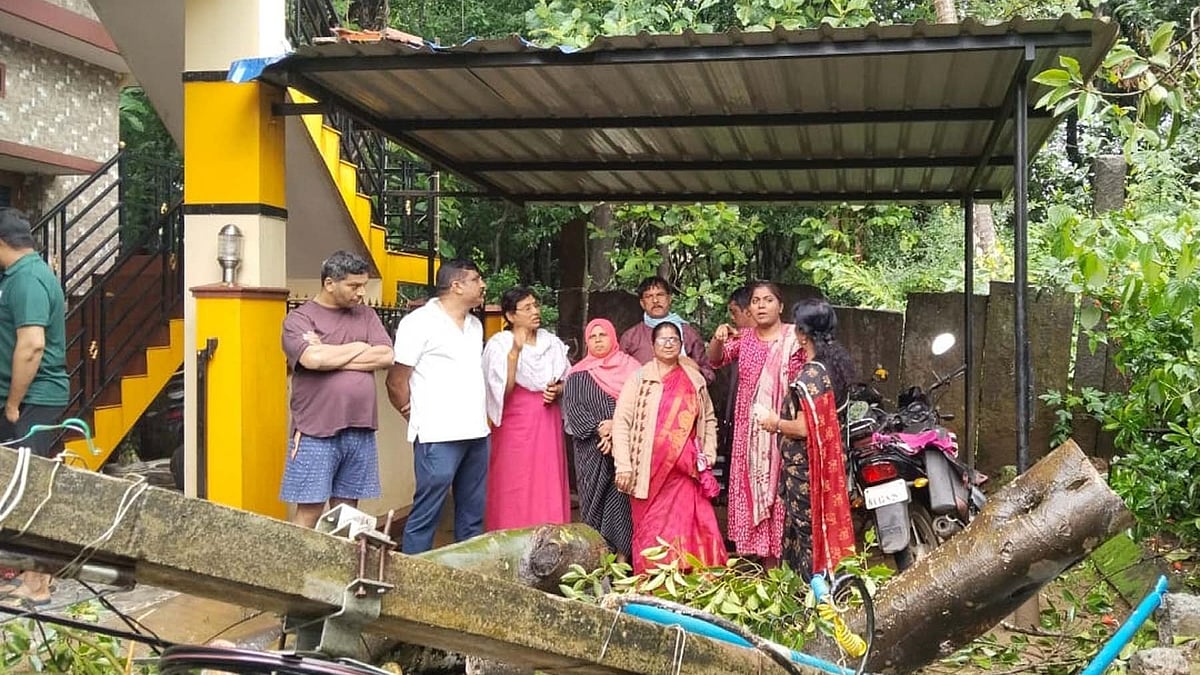 ಸಾಗರ | ಬೃಹತ್ ಗಾತ್ರದ ಮರ ಉರುಳಿ ವಾಹನಗಳು ಜಖಂ