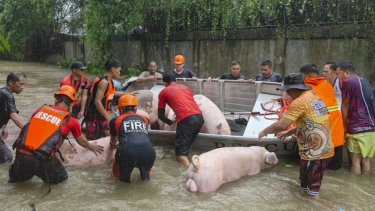 ಫಿಲಿಪ್ಪೀನ್ಸ್‌: ದೊಕ್ಸುರಿ ಚಂಡಮಾರುತಕ್ಕೆ ಇಬ್ಬರು ಬಲಿ