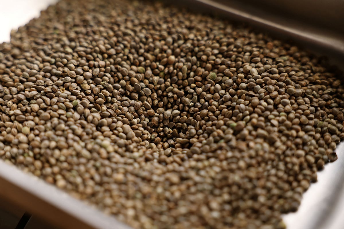 ಪ್ರವಾಹ ಸಂತ್ರಸ್ತರಿಗೆ ಬಿತ್ತನೆ ಬೀಜ ವಿತರಿಸಿದ ಪಂಜಾಬ್ ರೈತರು