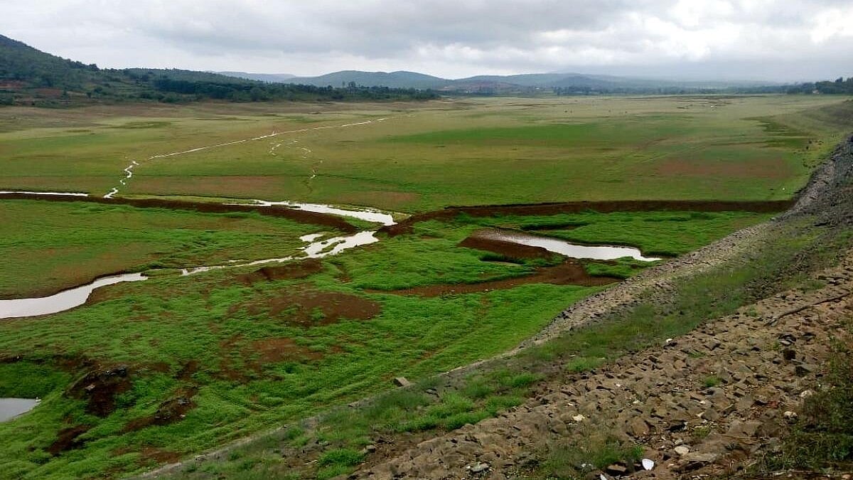 ಕಡೂರು | ಮಳೆ ವಿಳಂಬ; ಆವರಿಸಿದ ಬರದ ಭೀತಿ