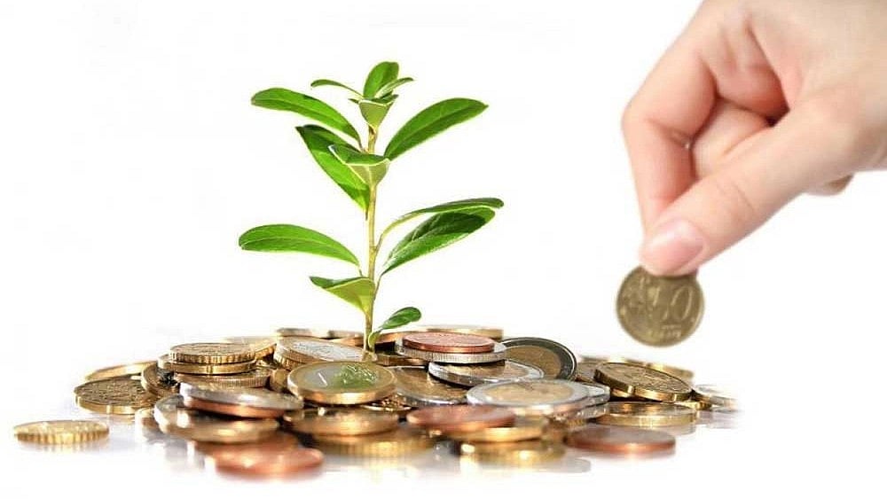 ಚಿಂಚೋಳಿ: ಬೆಳೆ ವಿಮೆ ನೋಂದಣಿಗೆ ನಿರಾಸಕ್ತಿ!