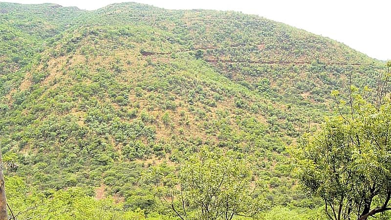 ನಾಲ್ವರು ಐಎಫ್‌ಎಸ್ ಅಧಿಕಾರಿಗಳ ವರ್ಗಾವಣೆ