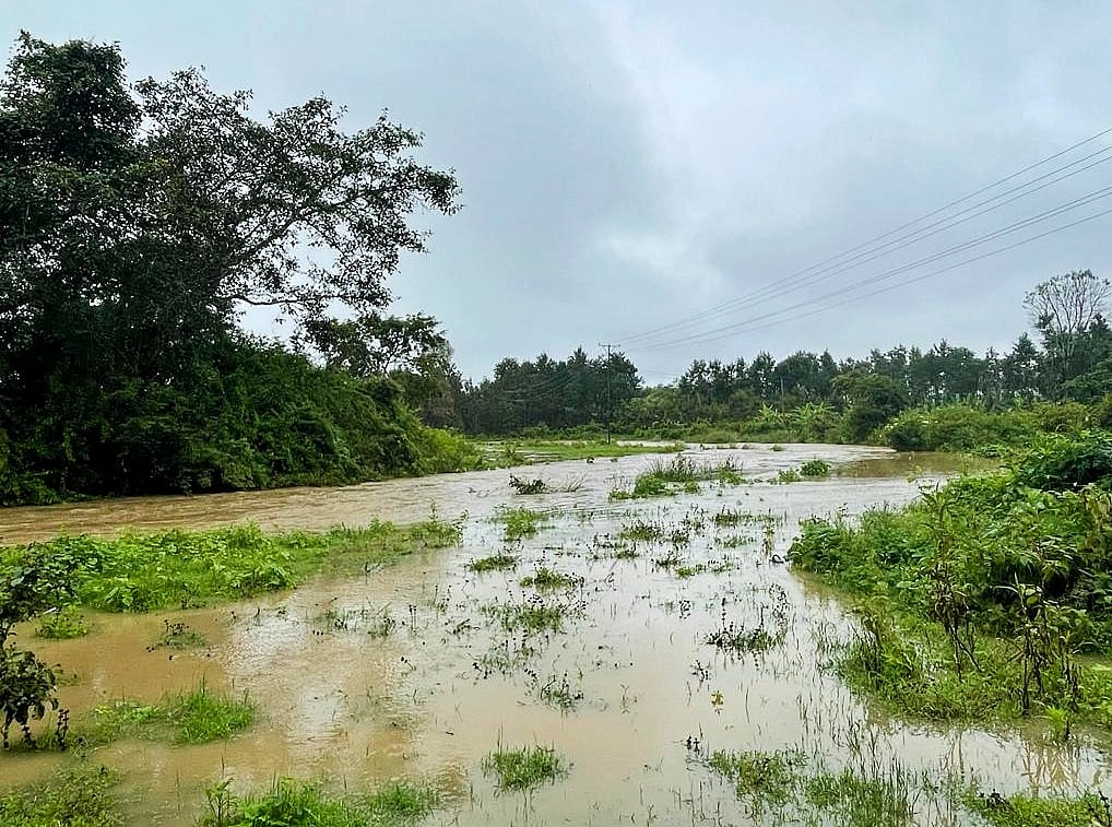 ಚಿಕ್ಕಮಗಳೂರು: ಆಲ್ದೂರು ಹೋಬಳಿಯಲ್ಲಿ ಧಾರಾಕಾರ ಮಳೆ