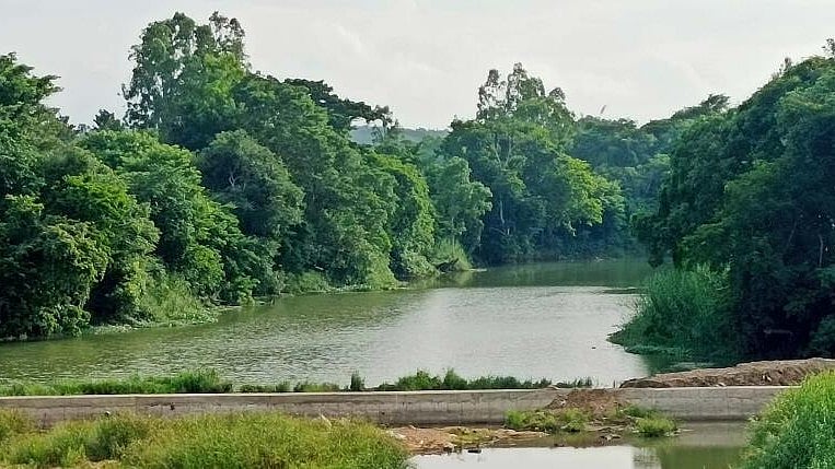  ಹಾಸನ | ಯಗಚಿ ನದಿಯಲ್ಲಿ ನೀರಿನ ಪ್ರಮಾಣ ಕುಸಿತ