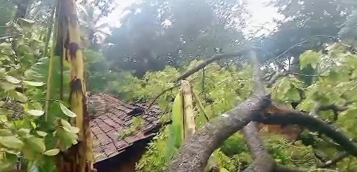 ಜೋಯಿಡಾ: ಮೆಸ್ತ ಬಿರೋಡದಲ್ಲಿ ಮರಬಿದ್ದು ಮನೆಗೆ ಹಾನಿ 