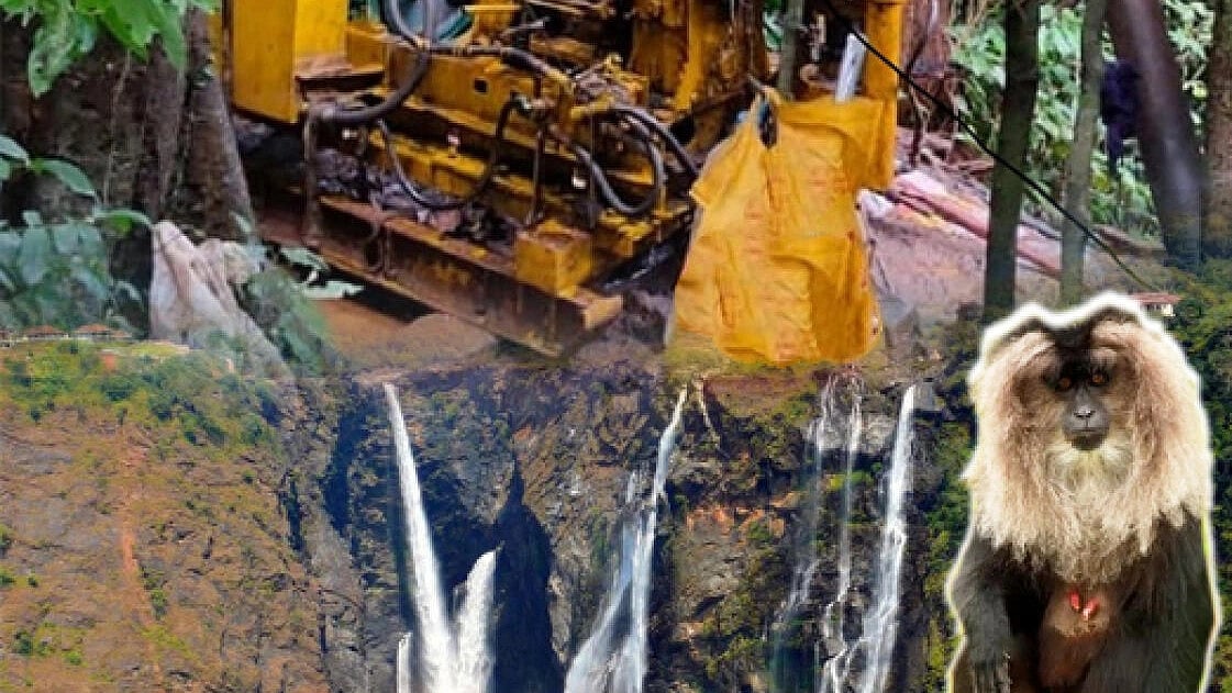 ವಿಶ್ಲೇಷಣೆ | ಜೋಗ ಜಲಪಾತಕ್ಕೆ ಅಭಿವೃದ್ಧಿಯೇ ಮುಳುವು?!