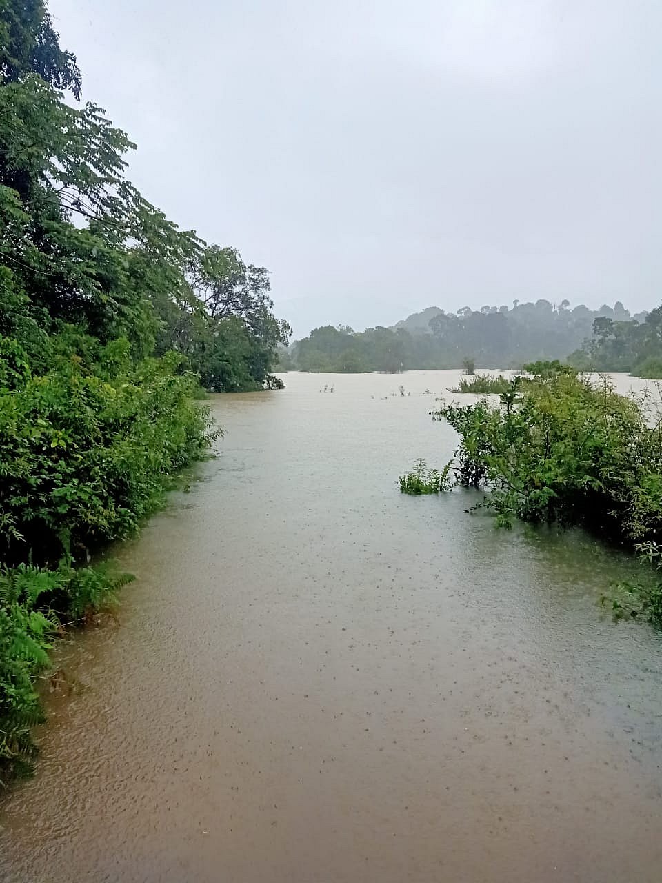 ಕೊಡಗು: ಶಾಲಾ ಕಾಲೇಜುಗಳಿಗೆ ನಾಳೆ ರಜೆ ಘೋಷಣೆ