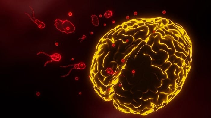 ಮೆದುಳು ತಿನ್ನುವ ಅಪರೂಪದ ‘ಅಮೀಬಾ ಸೋಂಕಿ’ನಿಂದ ಎರಡು ವರ್ಷದ ಬಾಲಕ ಸಾವು