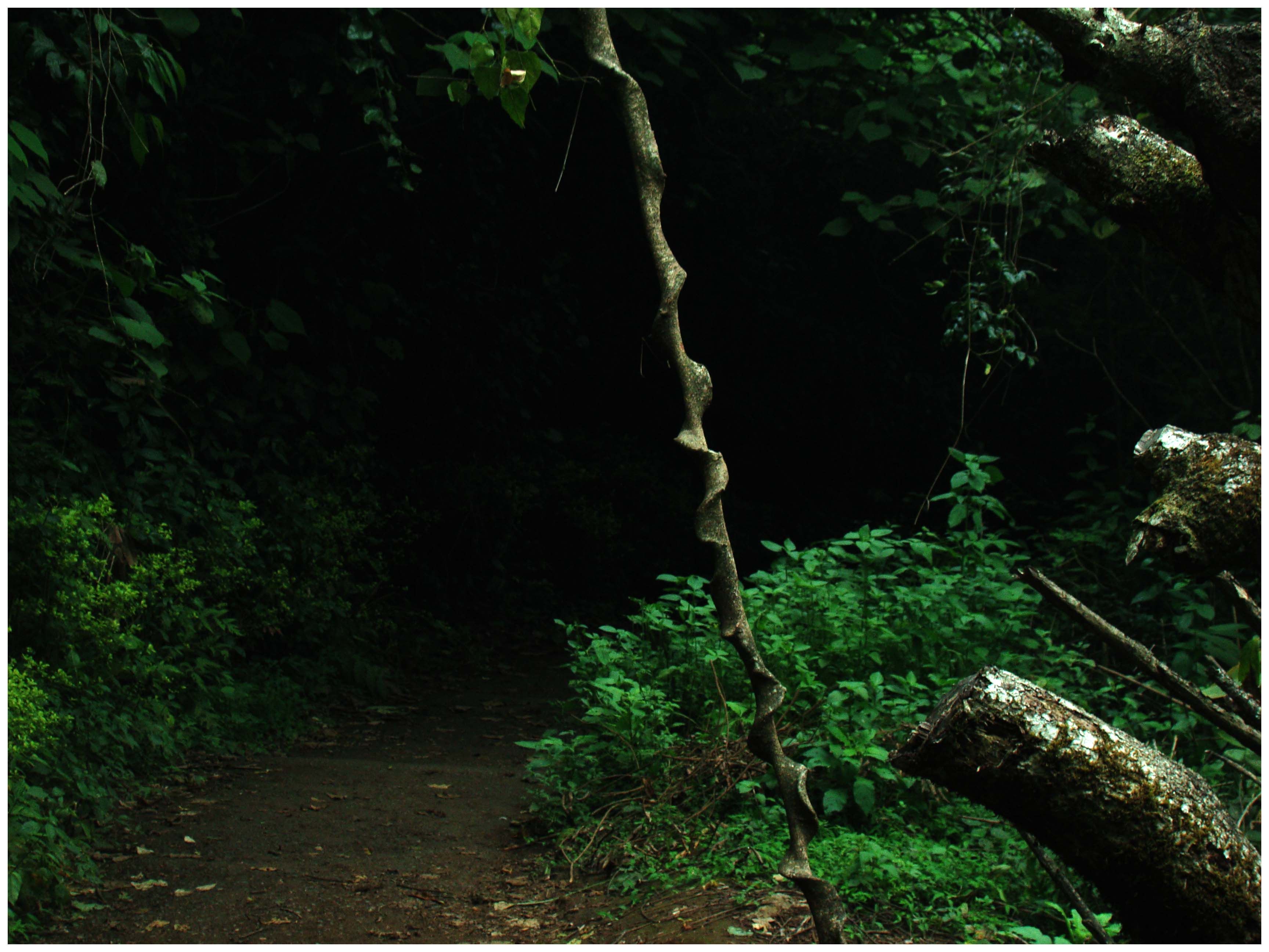 ಪ್ಯಾಪಿಲೋ ಬುದ್ಧರು ಇಲ್ಲೆಲ್ಲ ಸಿಕ್ಕರು