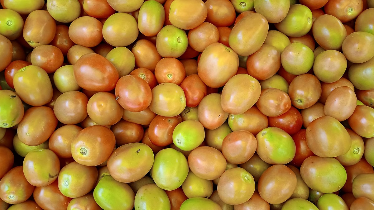 ₹21 ಲಕ್ಷ ಮೌಲ್ಯದ ಟೊಮೆಟೊ ತುಂಬಿಕೊಂಡು ಜೈಪುರಕ್ಕೆ ಹೊರಟಿದ್ದ ಲಾರಿ ನಾಪತ್ತೆ!