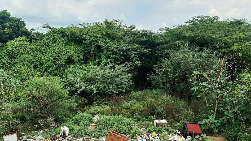 ಬೆಂಗಳೂರು | ಬಾಣಸವಾಡಿ ಕೆರೆ ಒತ್ತುವರಿ; ತಹಶೀಲ್ದಾರ್‌ಗೆ ನೋಟಿಸ್‌