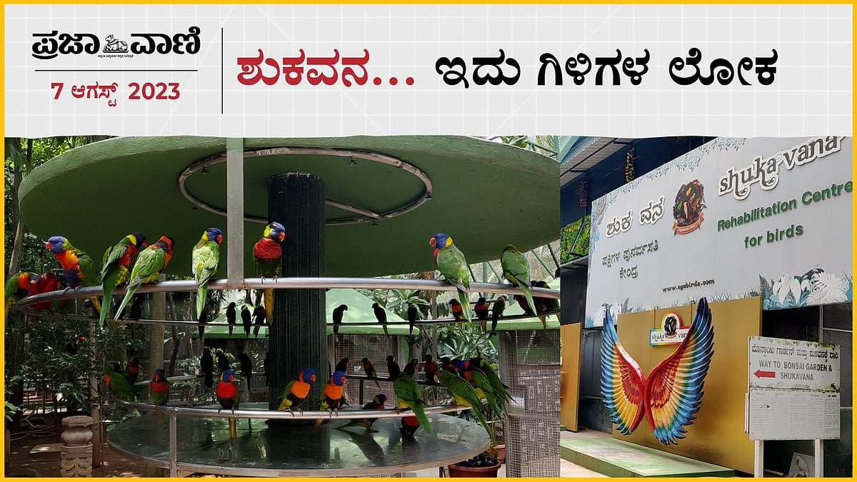 Video | ಶುಕವನ.... ಇದು ಗಿಳಿಗಳ ಲೋಕ