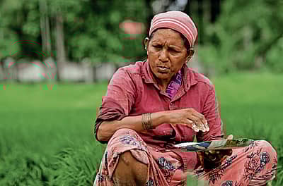 ಊಟವೂ ಗದ್ದೆಯ ಪಕ್ಕದಲ್ಲೇ...