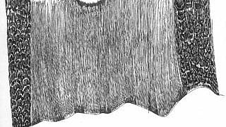 ಪ್ರೇಮಚಂದ್ ಅವರ ಕಥೆ: ಸಭ್ಯತೆಯ ರಹಸ್ಯ