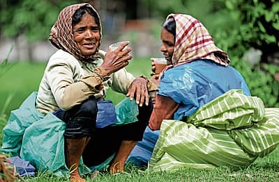 ಭತ್ತ ನಾಟಿ ಆಯ್ತು..ಇದು ಚಹಾ ಕುಡಿವ ಸಮಯ...