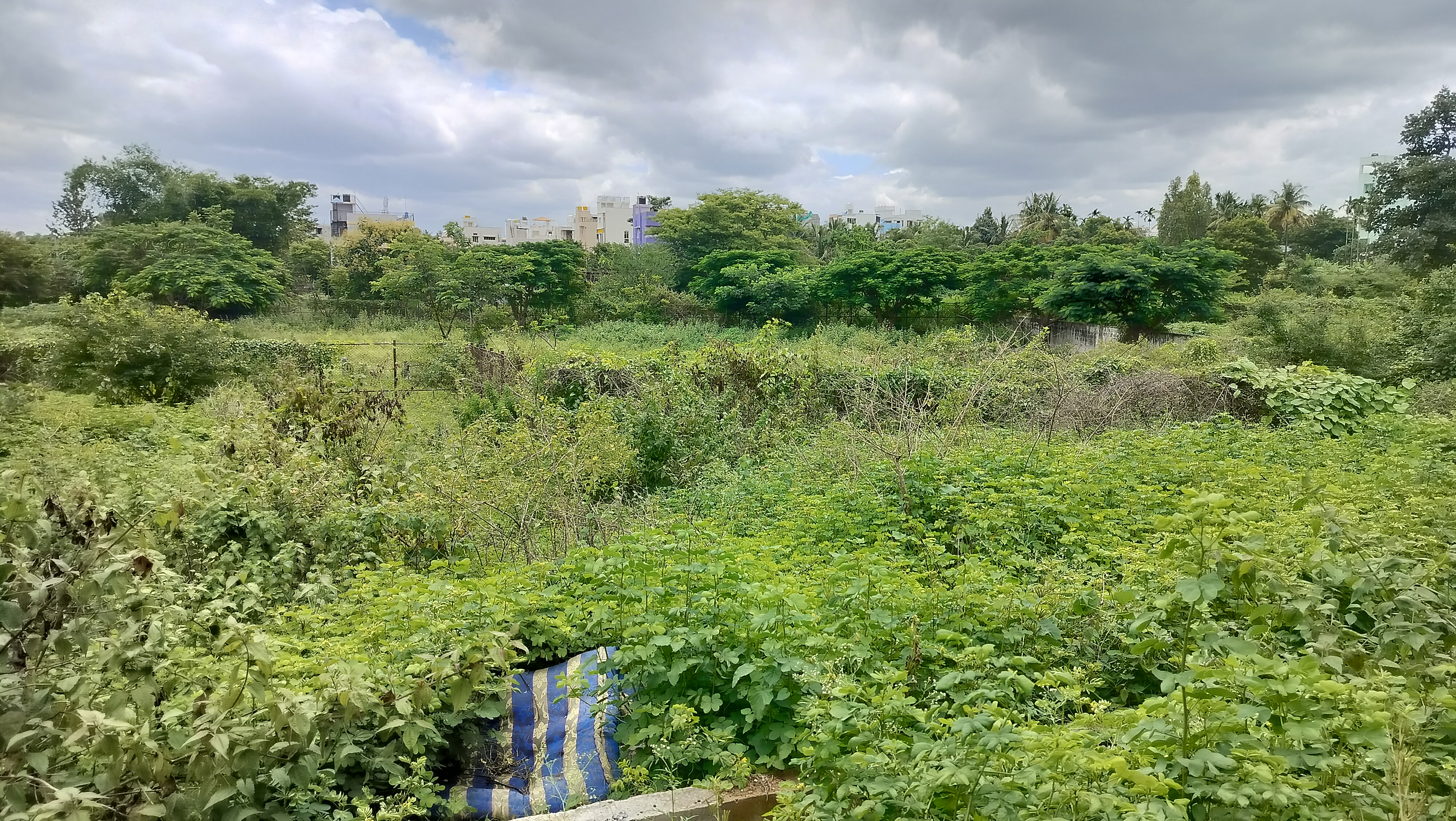 ಸರ್‌ ಎಂ. ವಿಶ್ವೇಶ್ವರಯ್ಯ ಬಡಾವಣೆ 6ನೇ ಬ್ಲಾಕ್‌ನಲ್ಲಿ ಉದ್ಯಾನಕ್ಕಾಗಿ ಬಿಟ್ಟಿರುವ ಜಾಗ