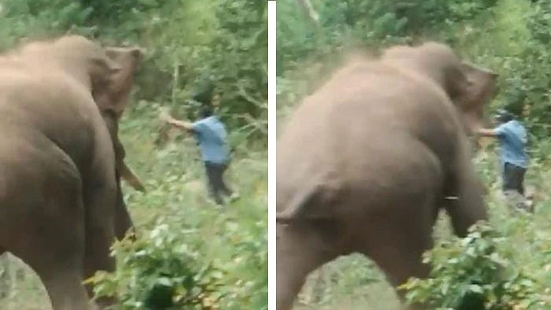 ಕಾಡಾನೆ ದಾಳಿ: ಅರಣ್ಯ ಇಲಾಖೆ ಸಿಬ್ಬಂದಿ ಸಾವು