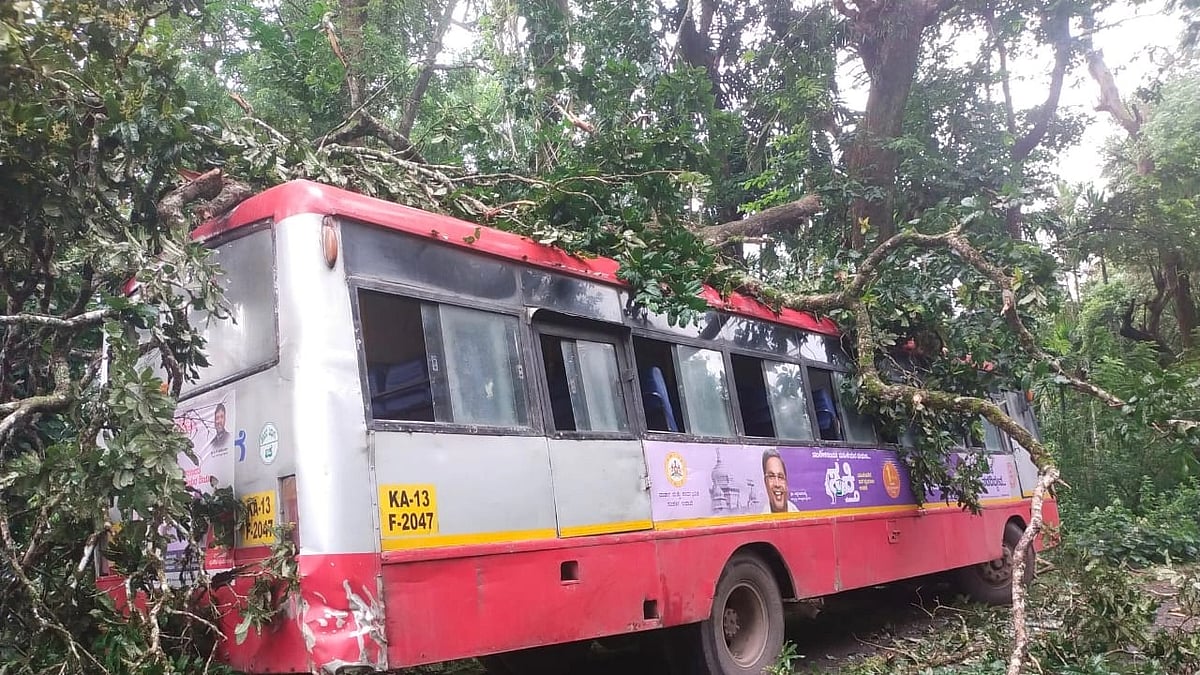 ಮರಕ್ಕೆ ಬಸ್ ಡಿಕ್ಕಿ: 20ಕ್ಕೂ ಹೆಚ್ಚು ಪ್ರಯಾಣಿಕರಿಗೆ ಗಾಯ