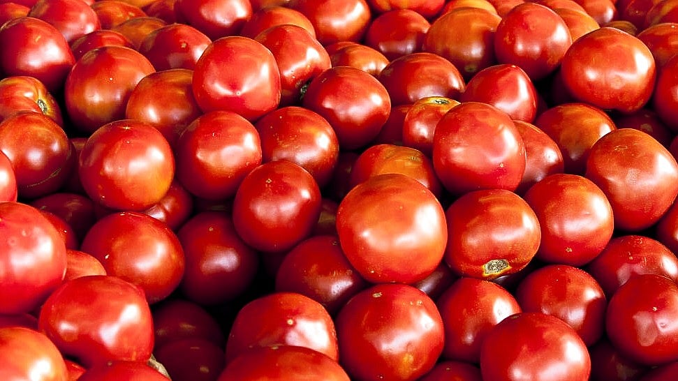 ಟೊಮೆಟೊ ತುಂಬಿಸಿಟ್ಟ ಟ್ರ್ಯಾಕ್ಟರ್‌ಗಳನ್ನು ಕದ್ದೊಯ್ಯುತ್ತಿದ್ದ ಕಳ್ಳರ ಬಂಧನ