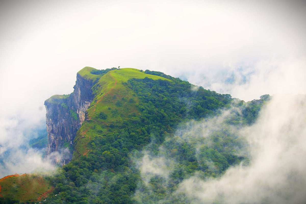 ರಾಣಿಝರಿಯಲ್ಲಿ ಗಾಜಿನ ಸೇತುವೆ: ಪ್ರವಾಸೋದ್ಯಮ ಇಲಾಖೆಯಿಂದ ಮಹತ್ವದ ಯೋಜನೆ ಪ್ರಸ್ತಾವ