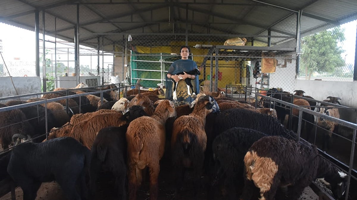 ಕುರಿ ಸಾಕಣೆಯ ಕಿರು ಉದ್ಯಮ: ಟಗರು ಉದ್ಯಮದಲ್ಲಿ ಮಂಗಳಾ ಹೆಜ್ಜೆಗುರುತು