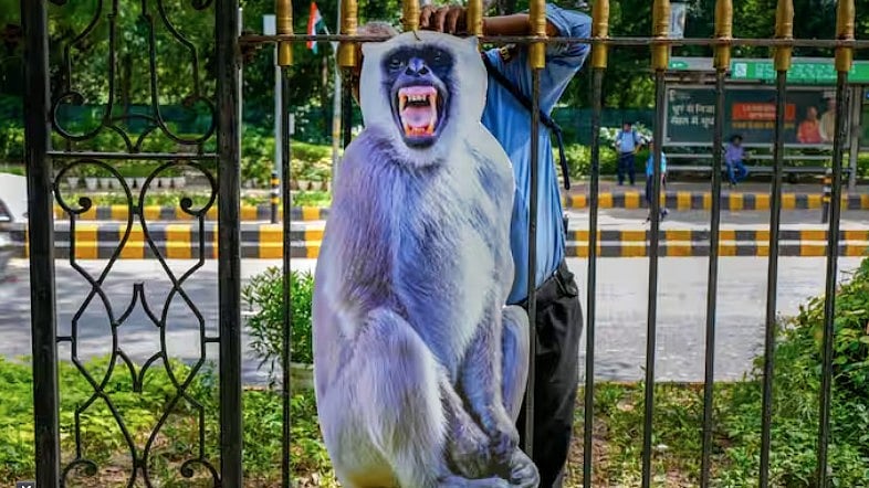 ದೆಹಲಿ | ಜಿ20 ಶೃಂಗಸಭೆ: ಕೋತಿಗಳ ಕಾಟ ತಪ್ಪಿಸಲು ಮುಸಿಯಾ ಕಟೌಟ್‌ ತಂತ್ರ