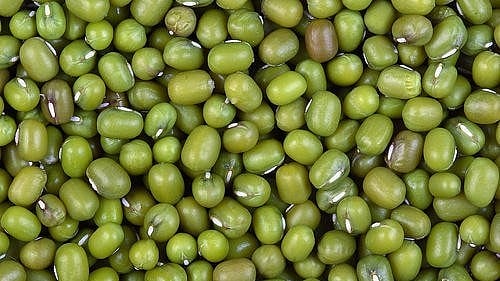 ಯಡ್ರಾಮಿಯಲ್ಲಿ ಹೆಸರು ಬಿತ್ತನೆಗೆ ಹಿನ್ನಡೆ