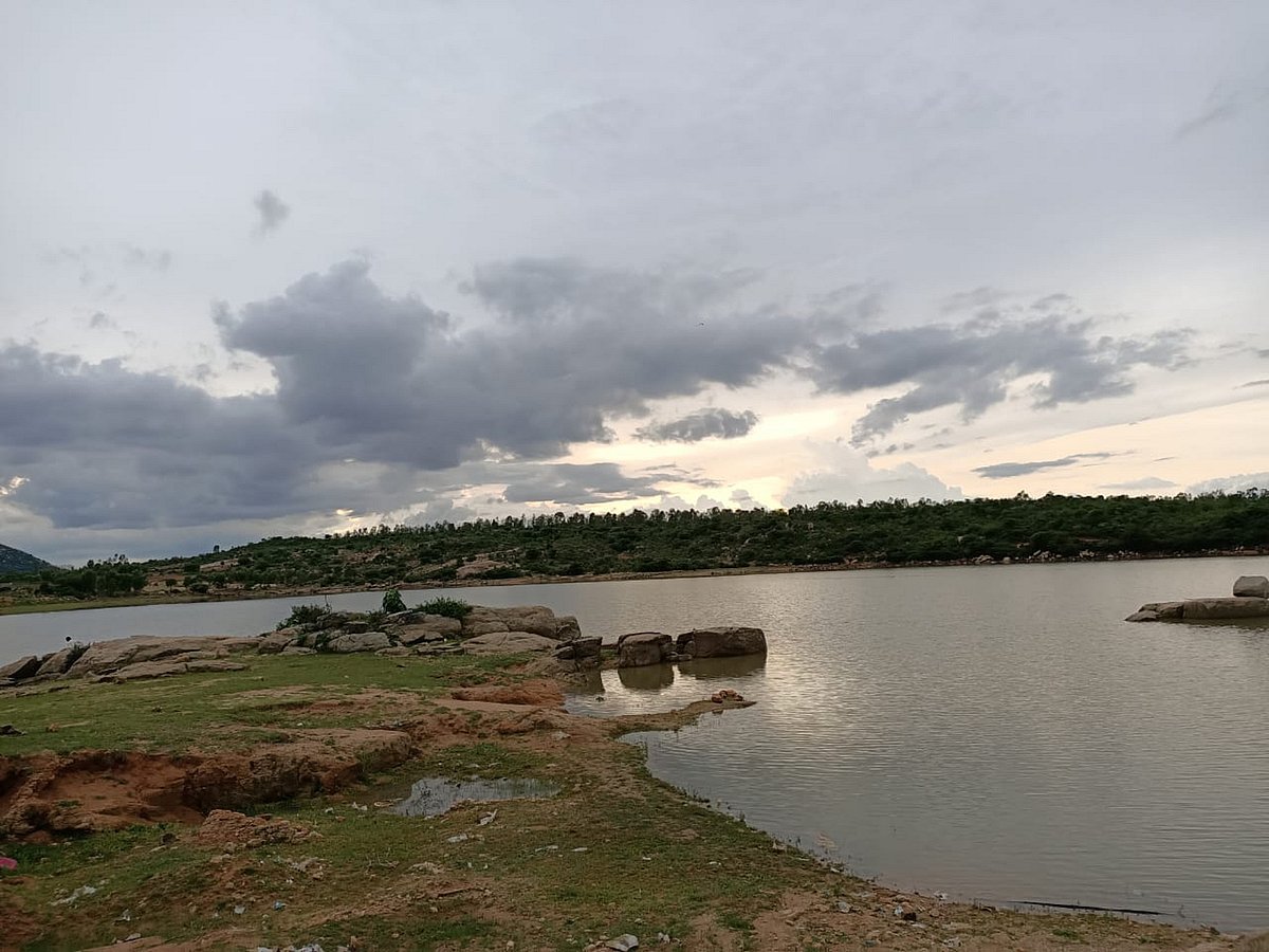 ಚಿಂತಾಮಣಿಗೆ ಹರಿದ ಭಕ್ತರಹಳ್ಳಿ-ಅರಸೀಕೆರೆ ನೀರು