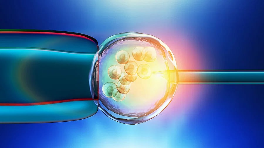 Egg Freezing Fertility: ಮಹಿಳೆಯರಿಗೆ ವರದಾನವೇ?ಭವಿಷ್ಯದಲ್ಲಿ ಮಗು ಪಡೆಯಬಹುದೇ? 
